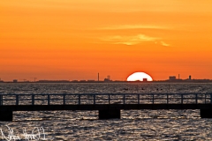 Solnedgång över Öresund